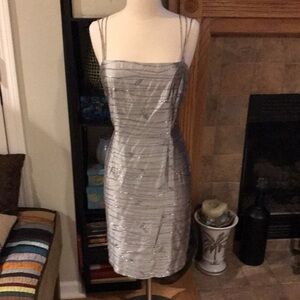 Dana Buchman petite silk semi formal dress with ornamentation